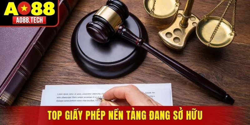 Top giấy phép nền tảng đang sở hữu